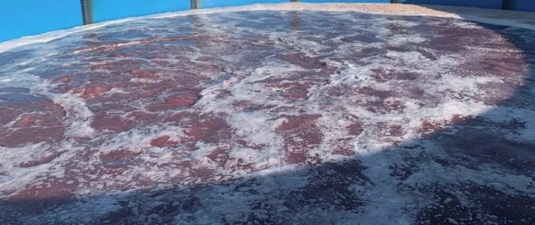 استفاده از دستگاه فیلتر پرس در تصفیه پساب کشتارگاه ها